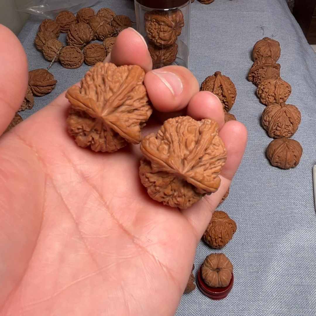 嘿***。核桃核桃核桃核桃