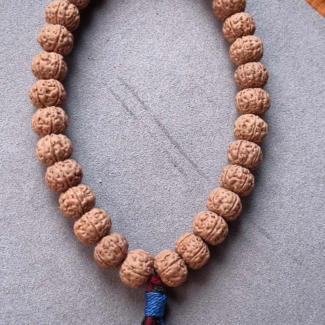 金刚菩提吊坠老树王手持