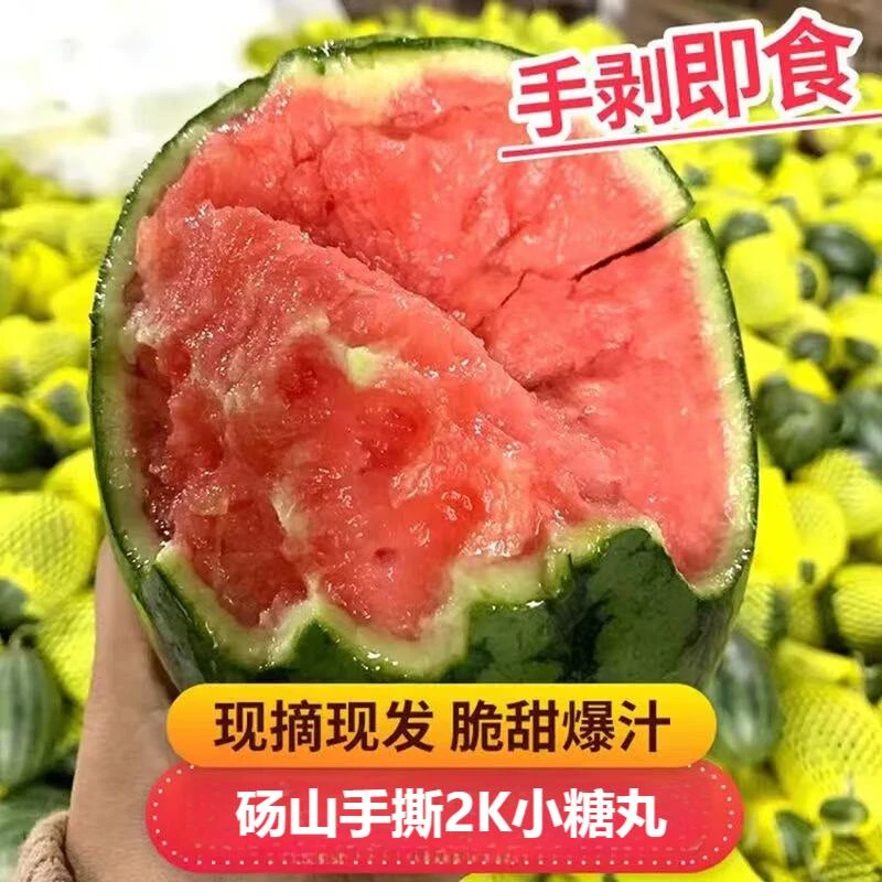 正宗小糖丸2K小西瓜薄皮清甜多汁新鲜现摘现发