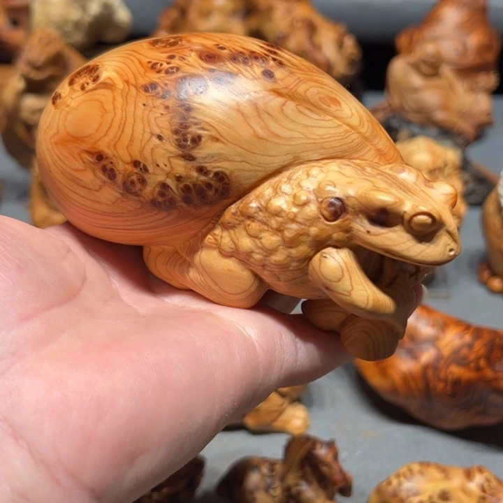 柏木（崖柏）点点关注