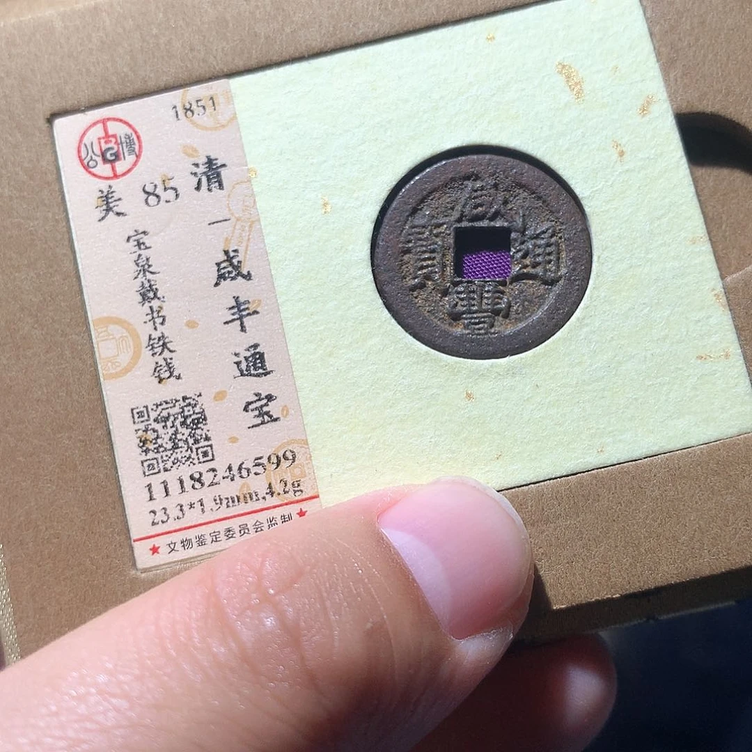 金属QY。咸丰通宝85分6599