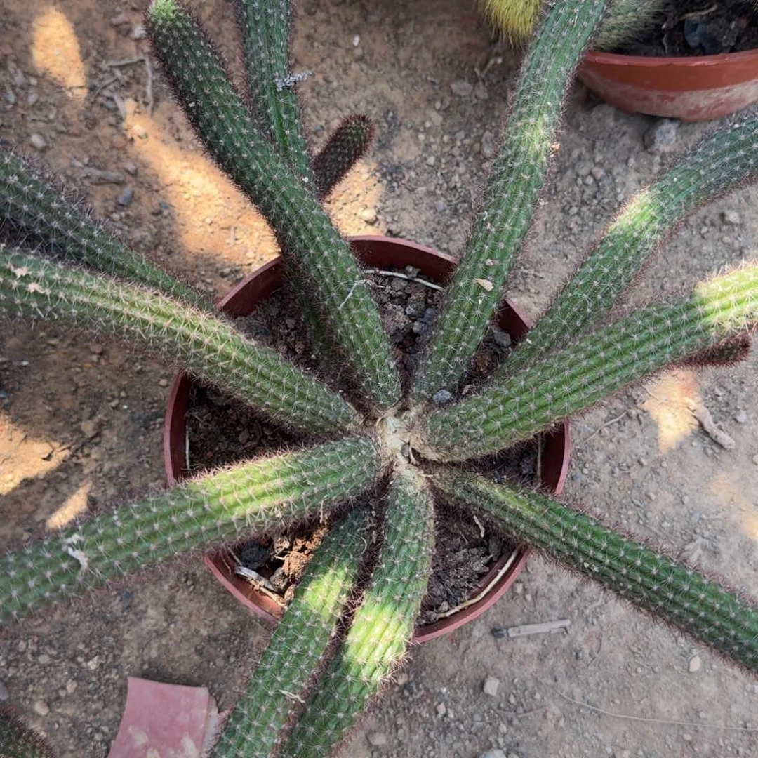 曾***心哈哈哈哈哈哈哈哈哈