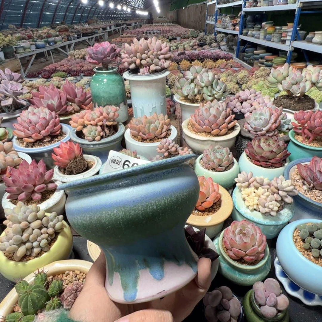 凑满50发货 内口9.5