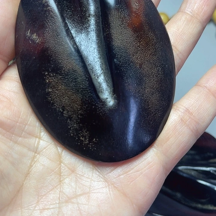 大果紫檀（缅甸花梨）