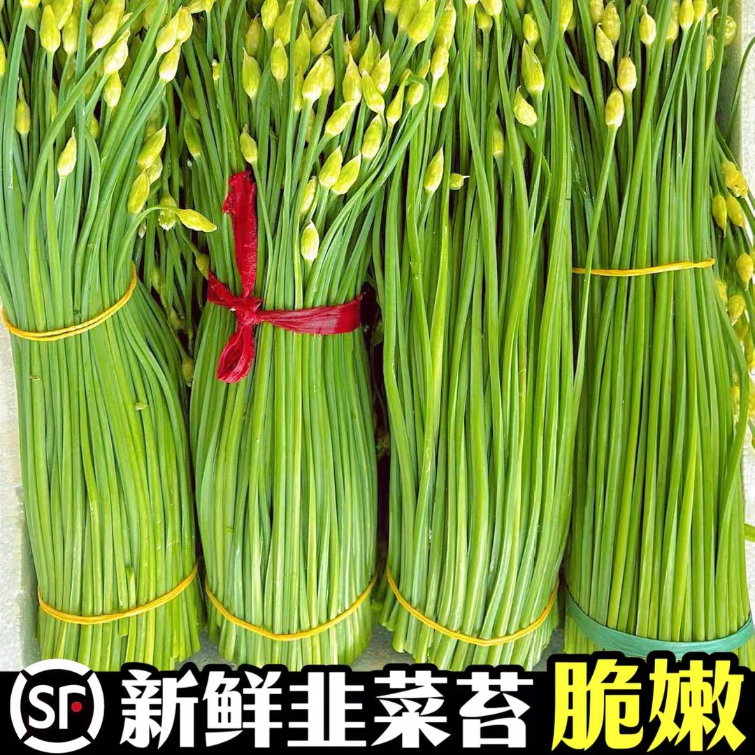 【顺丰】如皋农家韭菜苔新鲜直发