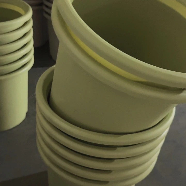 四季6号果绿无托7个特价微瑕