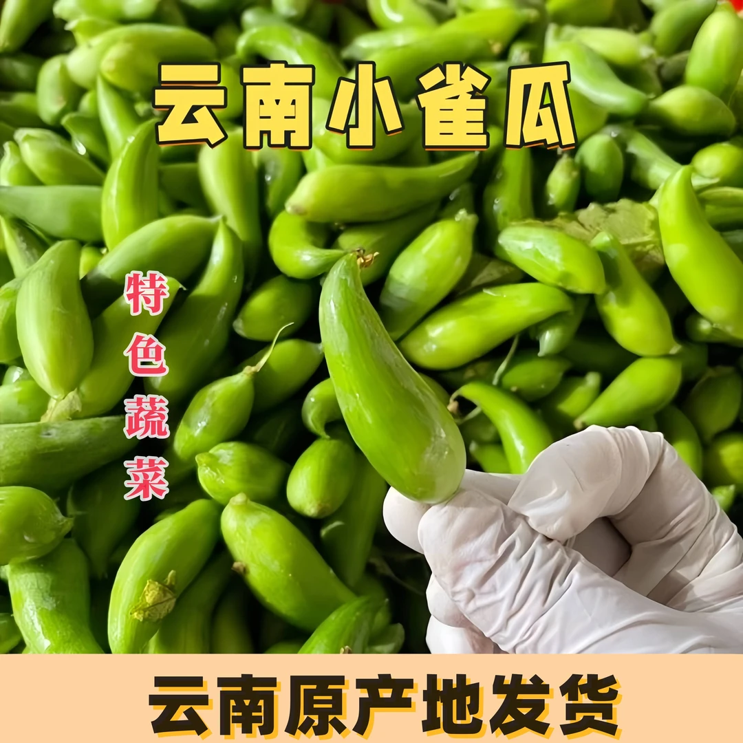 云南小雀瓜小角瓜洋辣子翅角瓜辣椒瓜德宏特色蔬菜黄瓜豆种子种球