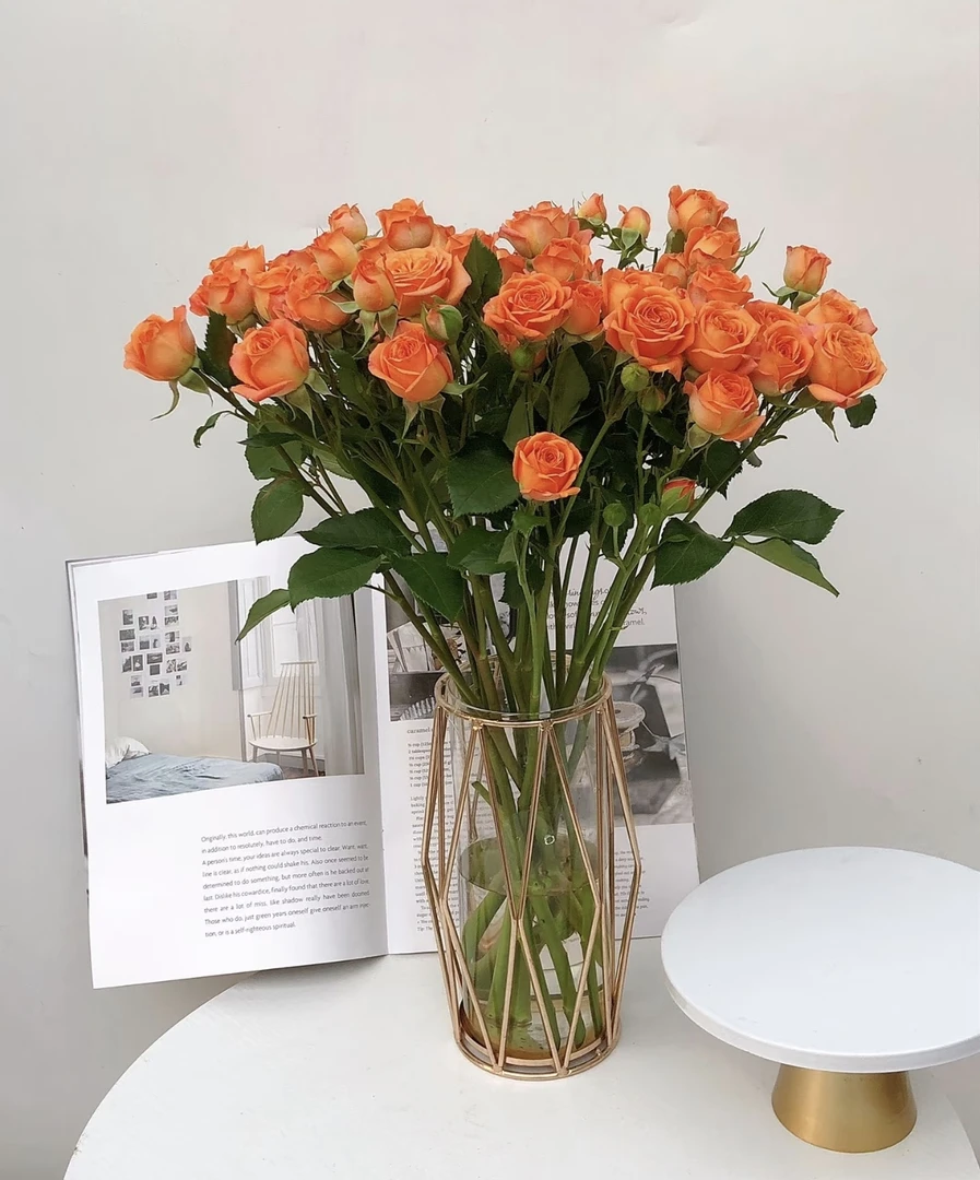 【4件1个邮费】云南鲜花自选 橙色芭比 顺丰冷链发货 20%不售后