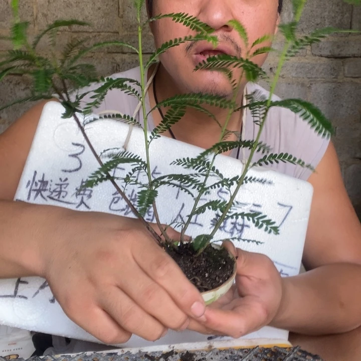 退款拉黑一物一拍86
