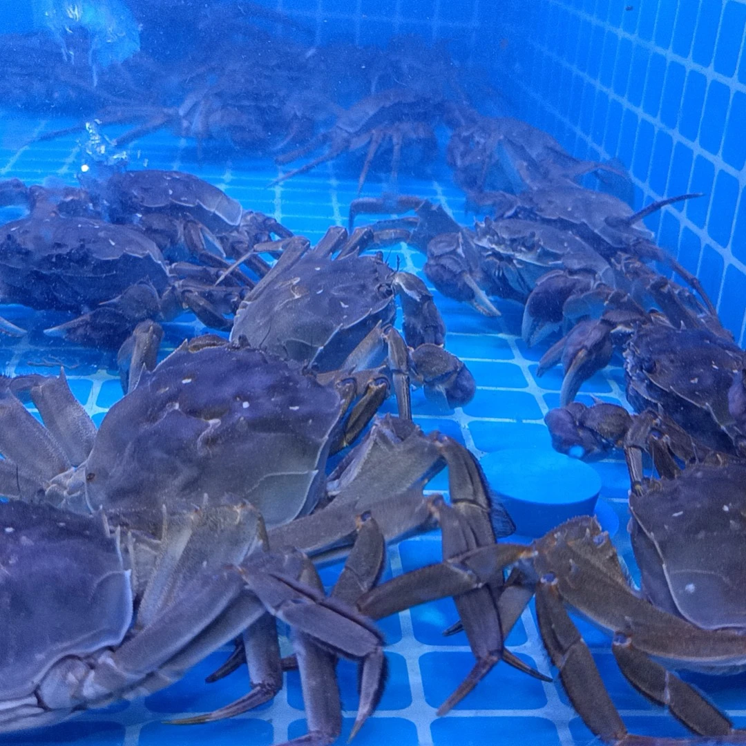 现场改价放心下单