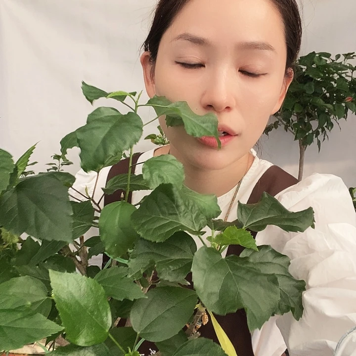 全部花苞多色福利，到家不换盆