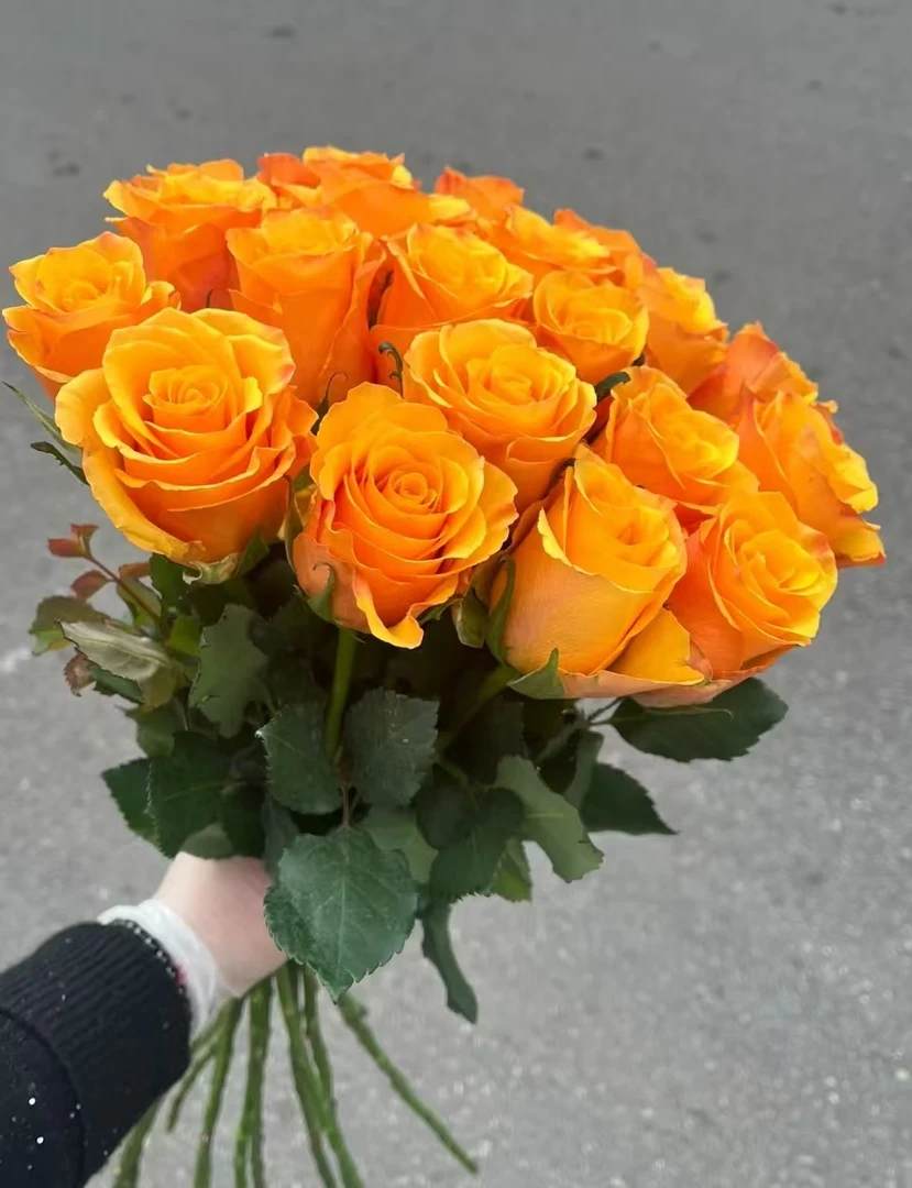 辉煌玫瑰【收到花一定要醒花，不会醒花的请联系客服】