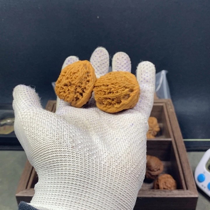 鑫***核桃等经济林果的食物