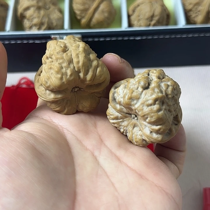 .***桃核吊坠蛤蟆头核桃文玩