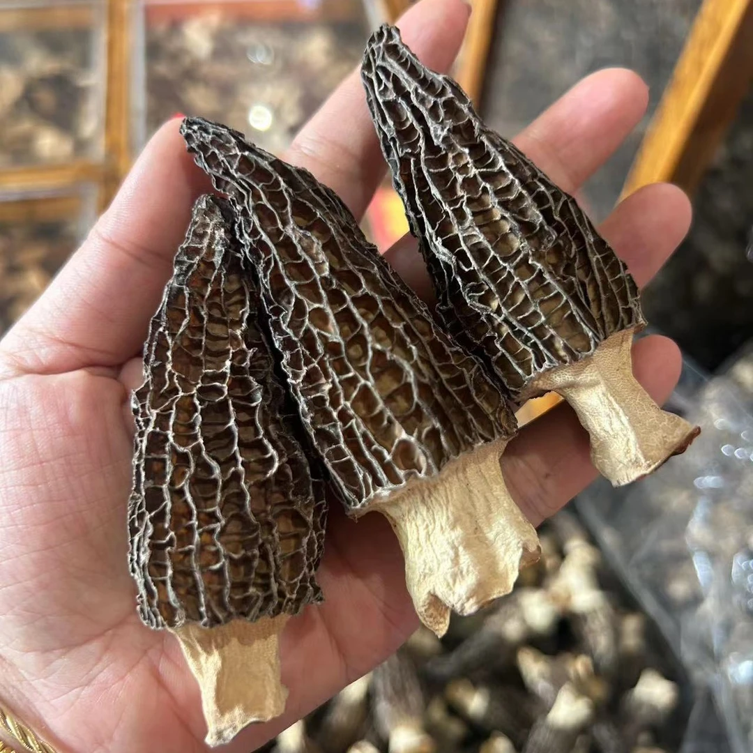 云南羊肚菌干货礼盒装山珍滋补煲汤佳品节日送礼优选