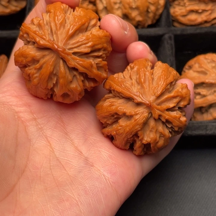 菩提籽类秦岭野生核桃文玩