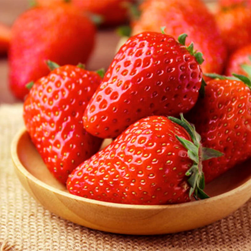 丹东红颜草莓礼盒1kg
