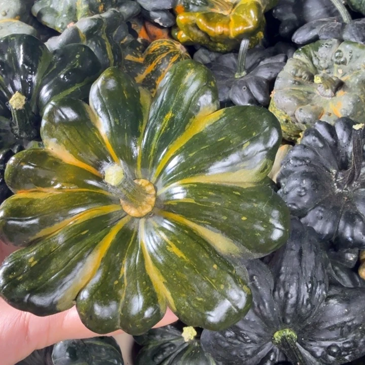 烟***冷饿哦饿哦饿哦饿哦饿哦