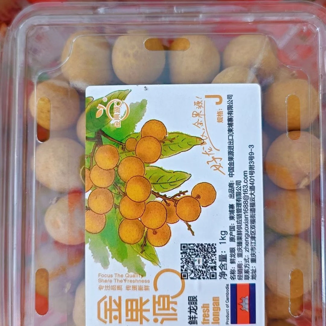 果切金果源鲜龙眼二斤装