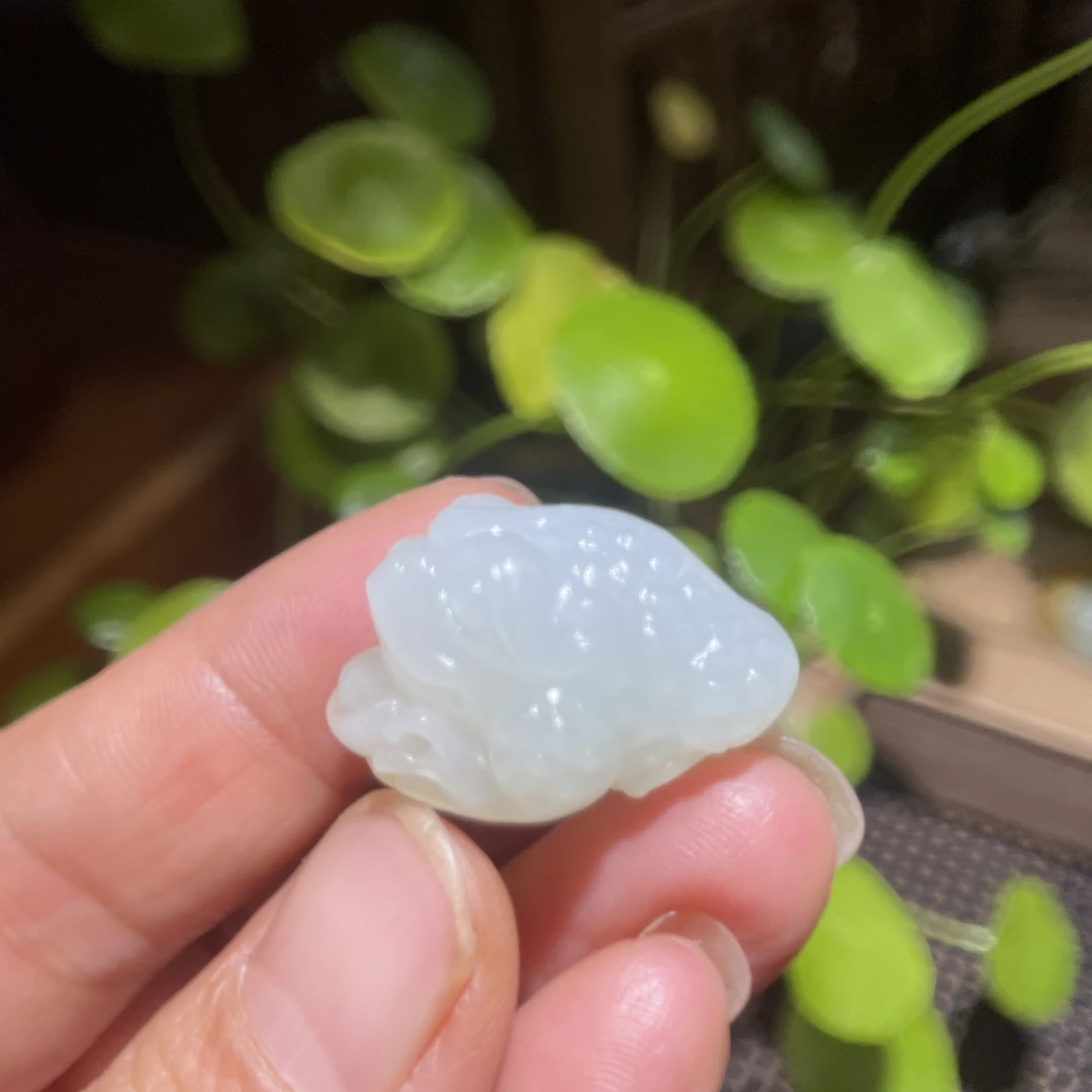 新疆和田玉白玉挂件9.2克小金蟾25.7×18.6×15.6毫米