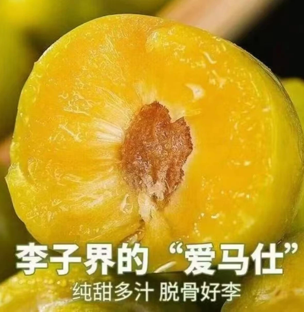 【顺丰包邮】正宗冰脆蜂糖李 新鲜应季水果脆甜爽多汁带箱
