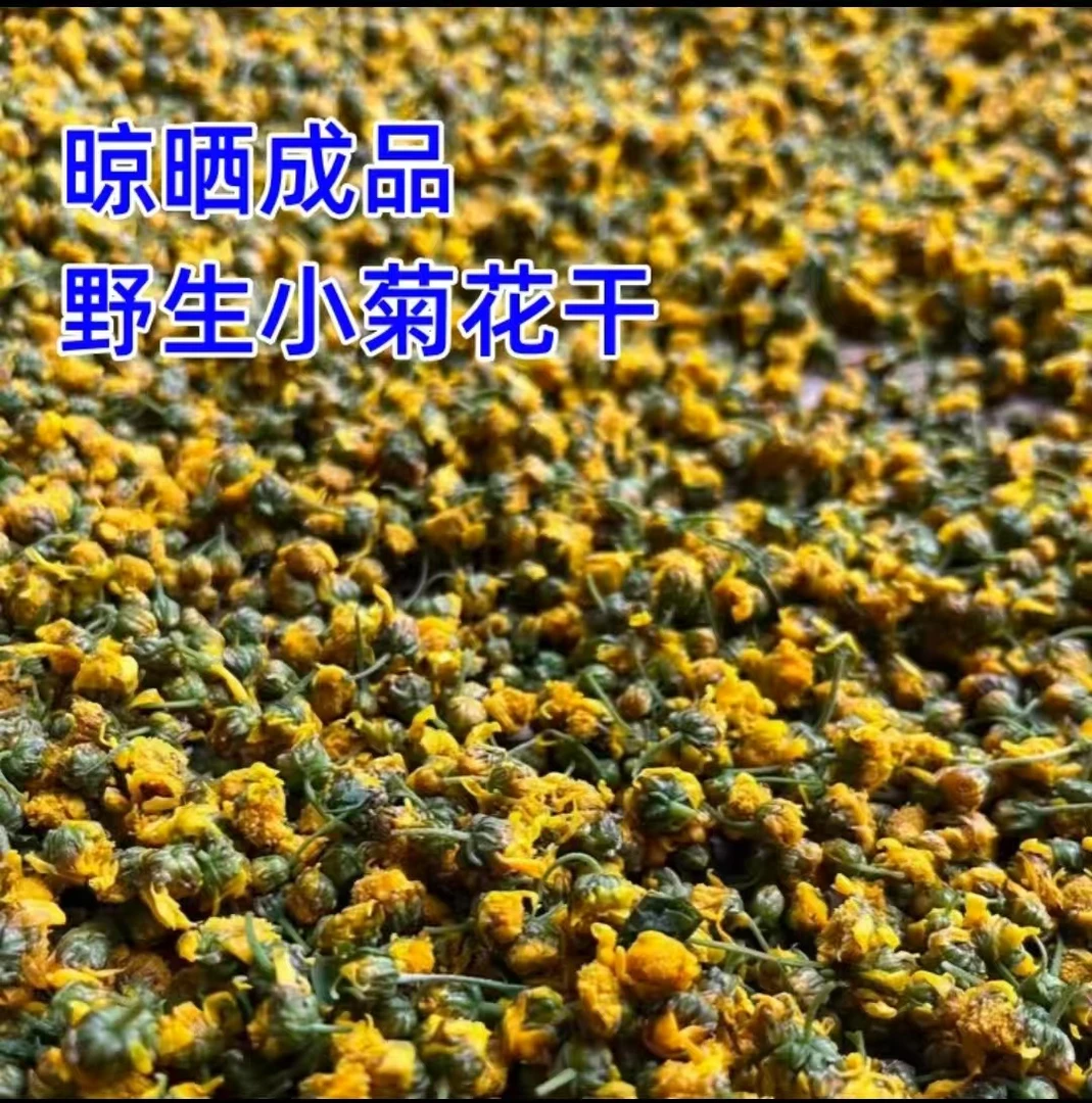 野菊花农户自采小野菊自然晒干泡水