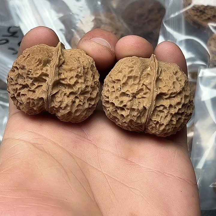 核桃77号星痕蛙42尺