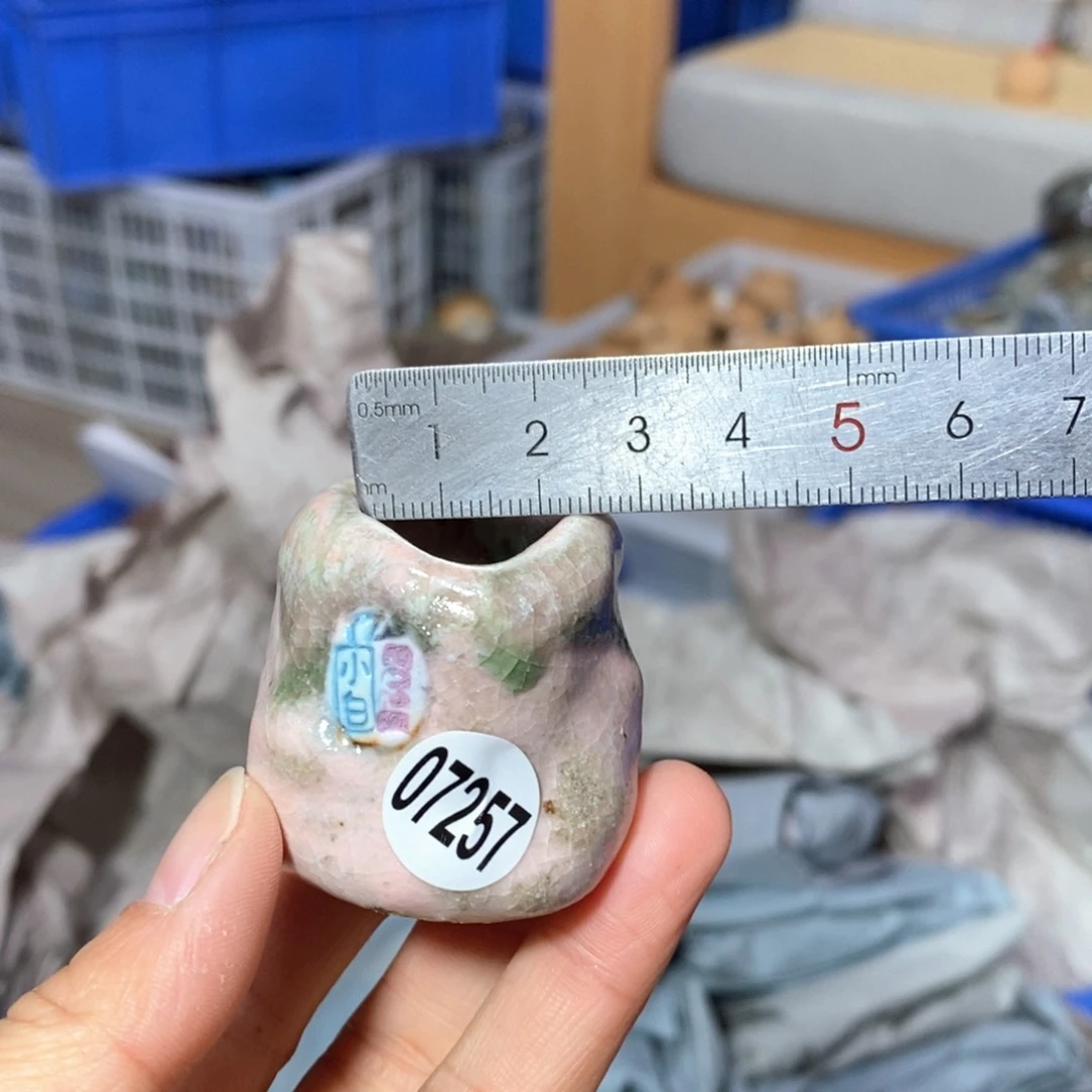 花盆拍3送一个小礼物