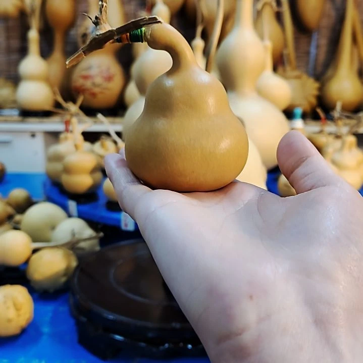 永****”他他他他他他他他他他