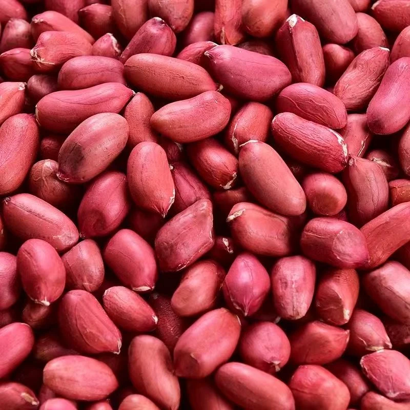 新货大颗粒花生甄选气血双补红皮花生