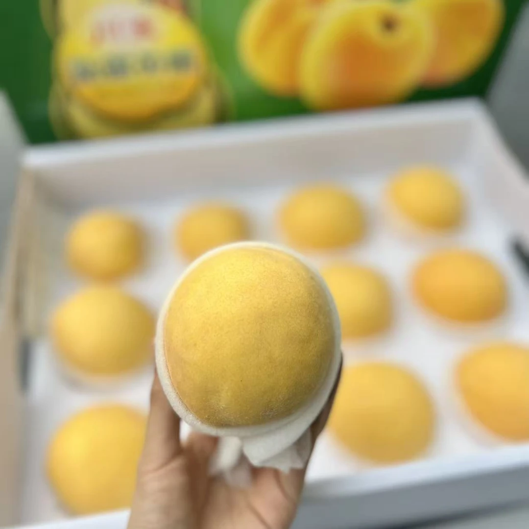 新疆黄桃 200g+/颗