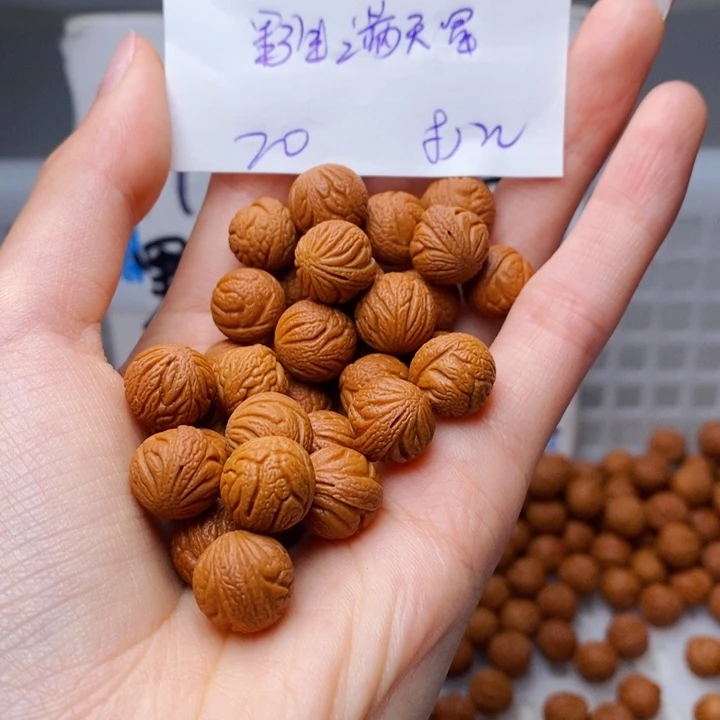 手串桃核12mm左右野生满天星20颗（打孔）