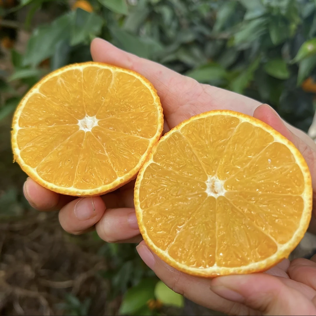 四川正宗爱媛38号果冻橙新鲜应季皮薄香甜多汁孕妇水果