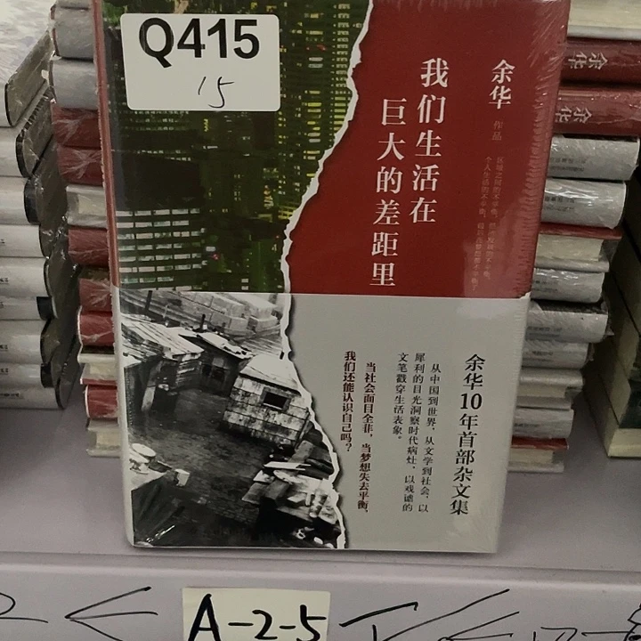 我们生活在巨大差距 精装带塑封