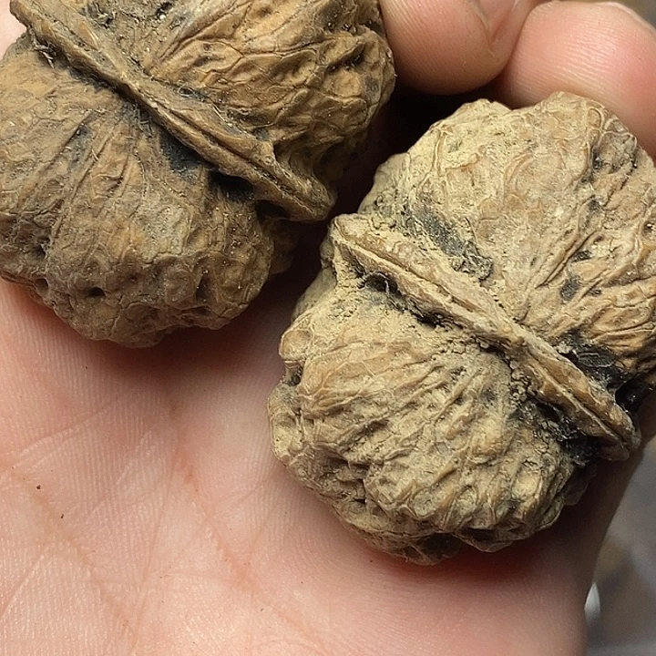 文玩核桃把件志成云铁文玩85