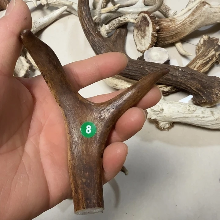 香榧木工艺品鹿角原料