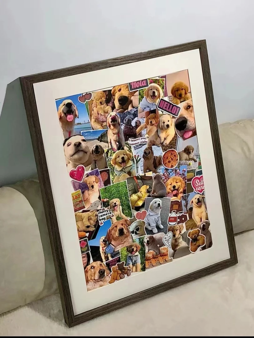 宠物相册直播专属