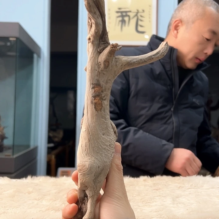 柏木林*大我们都是好孩子啊哈哈哈哈哈