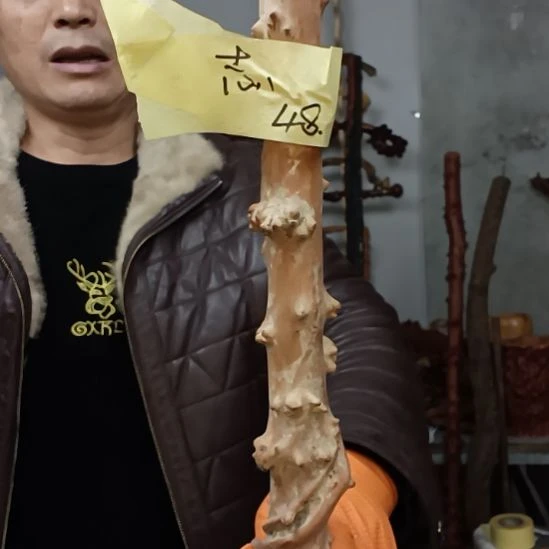 志***节香榧木高山 檬子木文玩料