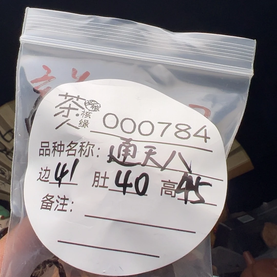 文玩核桃吊坠我们