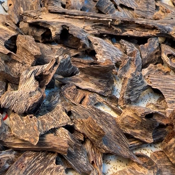 沉香摆件海南野生虫漏5克