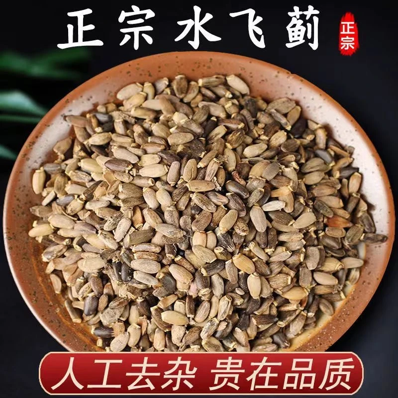 水飞蓟 自然晒干正宗奶蓟草水飞蓟籽