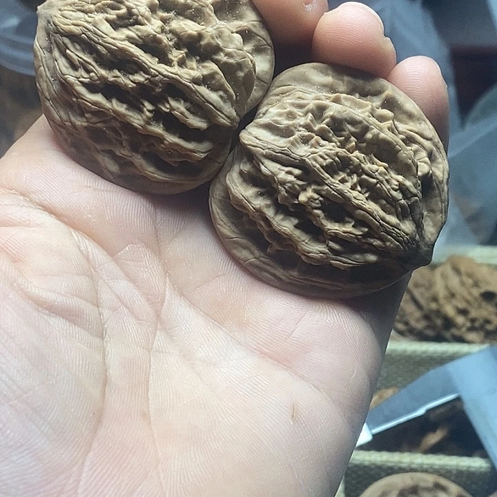 老***大吊坠桃核麦穗压扁一对