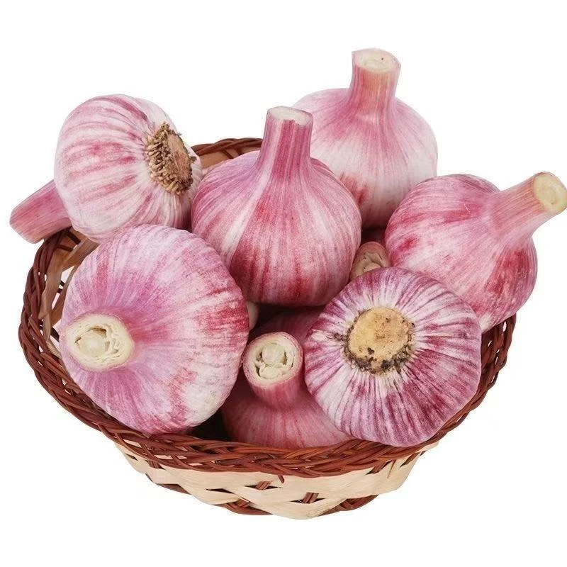 安徽当季新干蒜外紫皮大蒜中大果大蒜多瓣蒜3斤-5斤