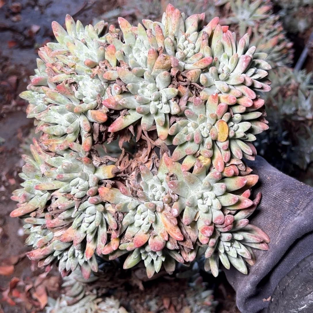 5364哈哈哈哈哈哈哈哈