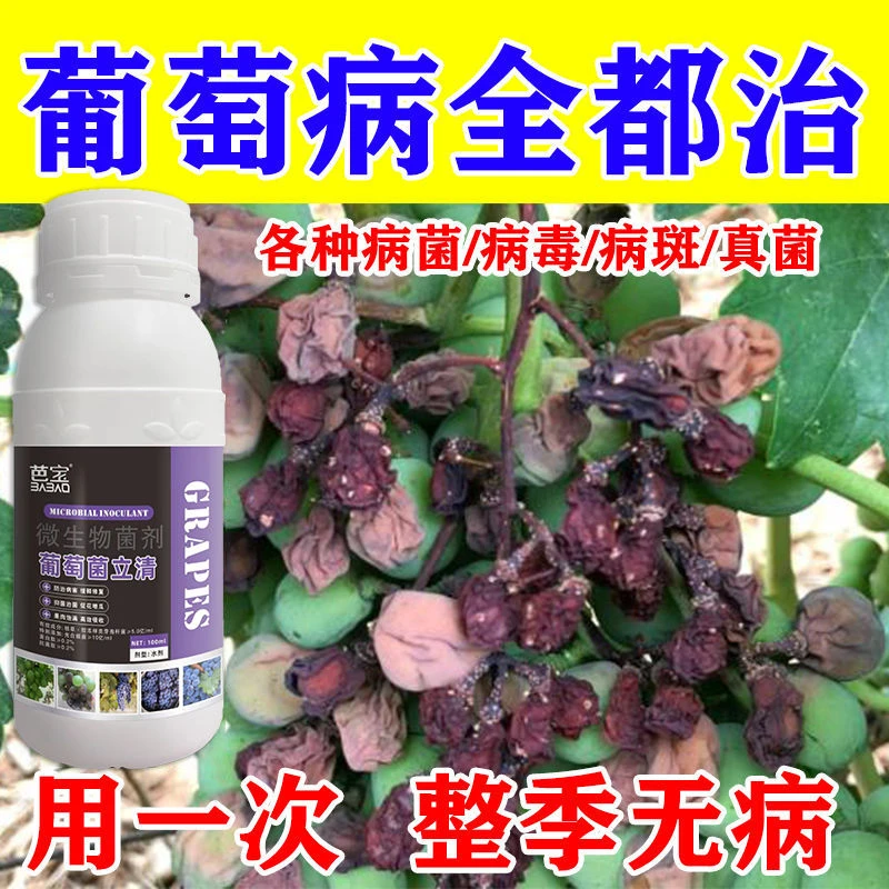 葡萄病白腐炭疽灵葡萄专用菌剂炭疽病霜霉病白粉病农用正品菌剂