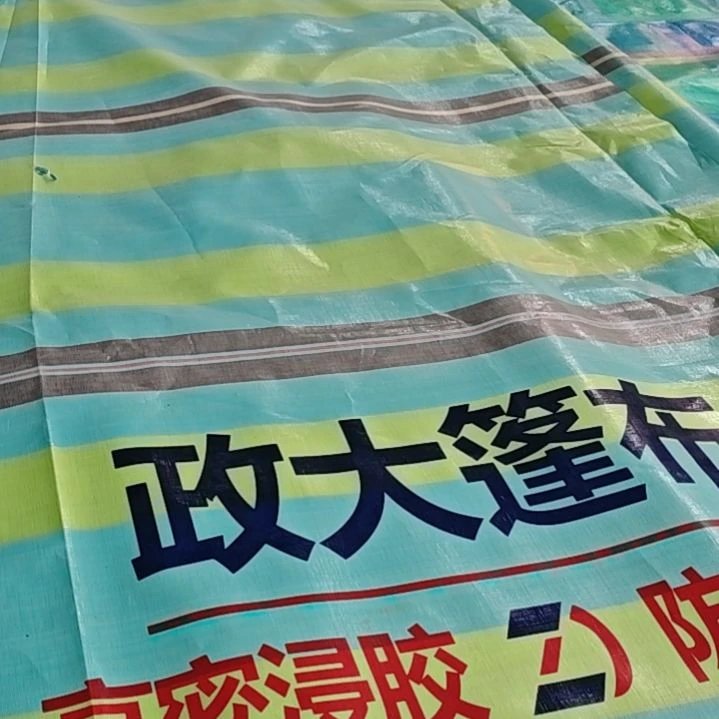 绒质哈哈哈哈哈哈