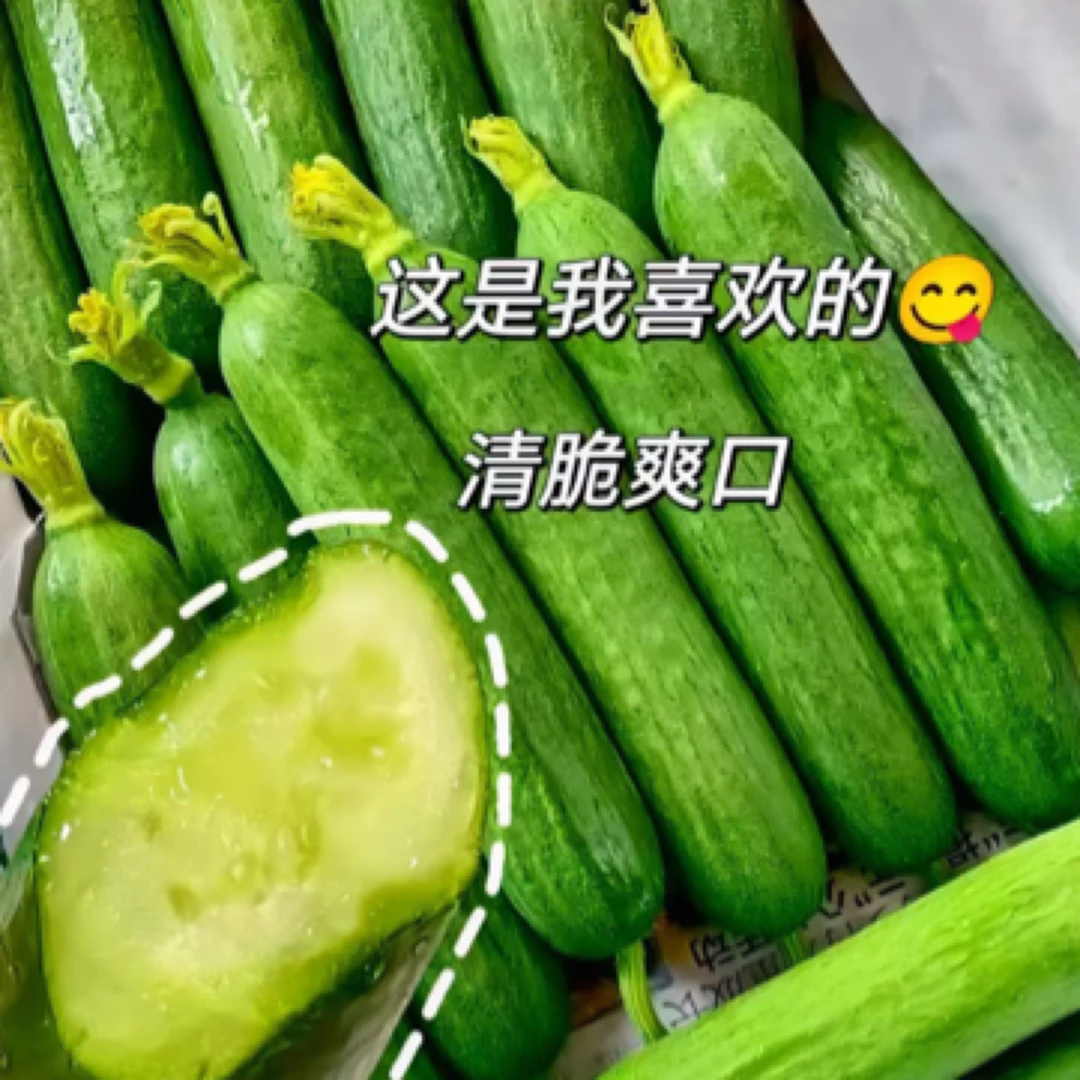 水果黄瓜/一盒10米黄瓜同城送黄瓜同城配