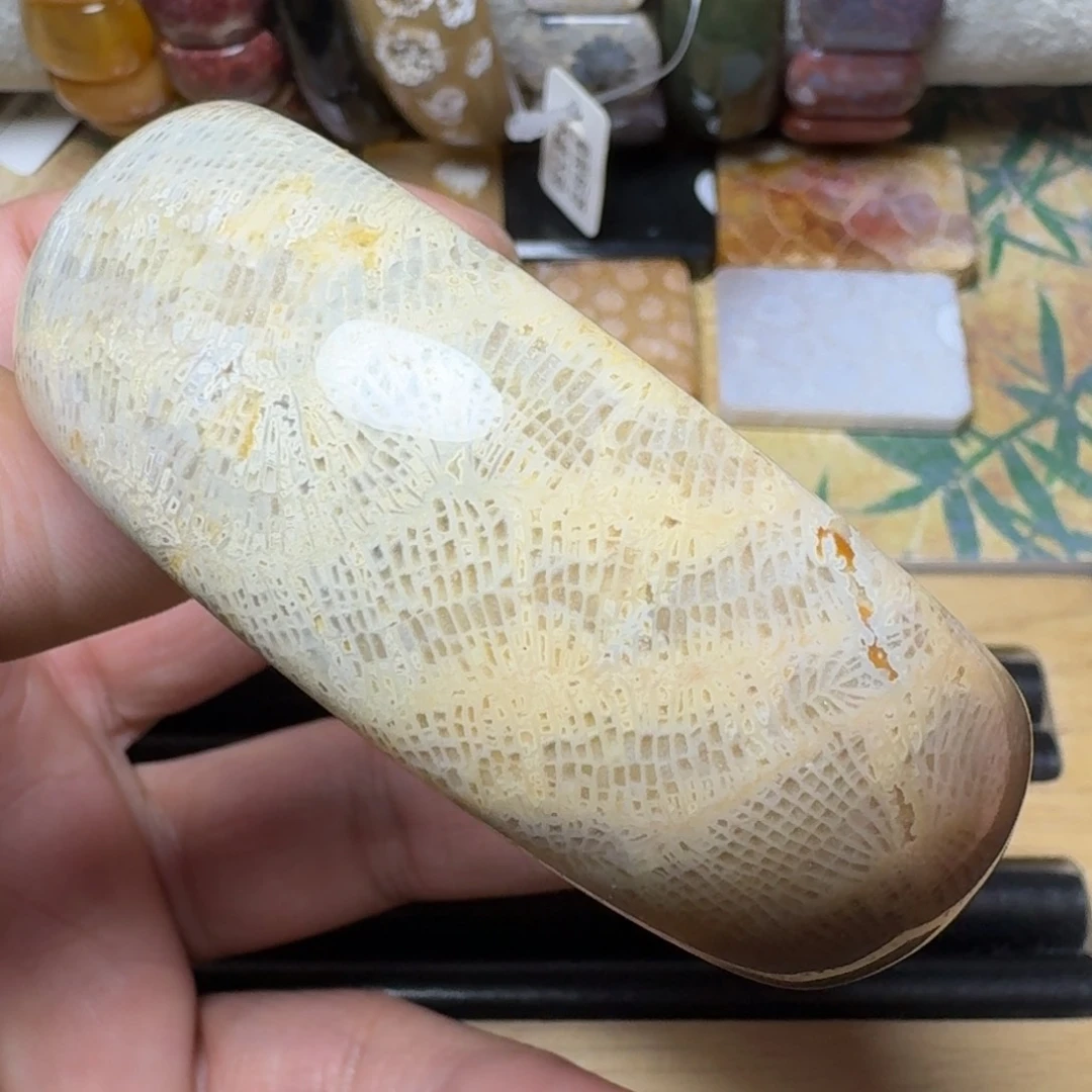 硅化玉纯天然有机玉石保真色未镶嵌60.5圈口