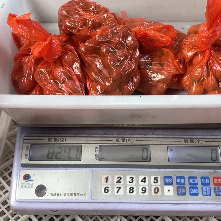 泥塑无打孔体验装10